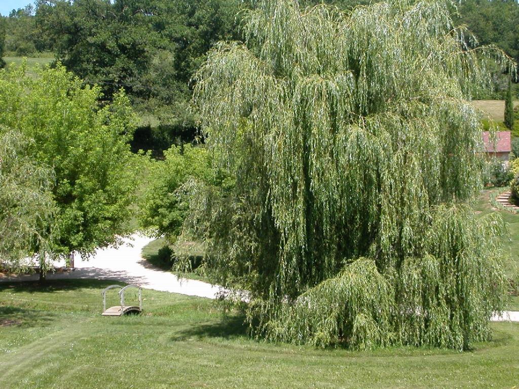 Hameau Les Combelles Villa Martel Dış mekan fotoğraf
